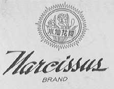 水仙花  NARCISSUS