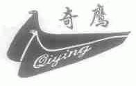 奇鹰