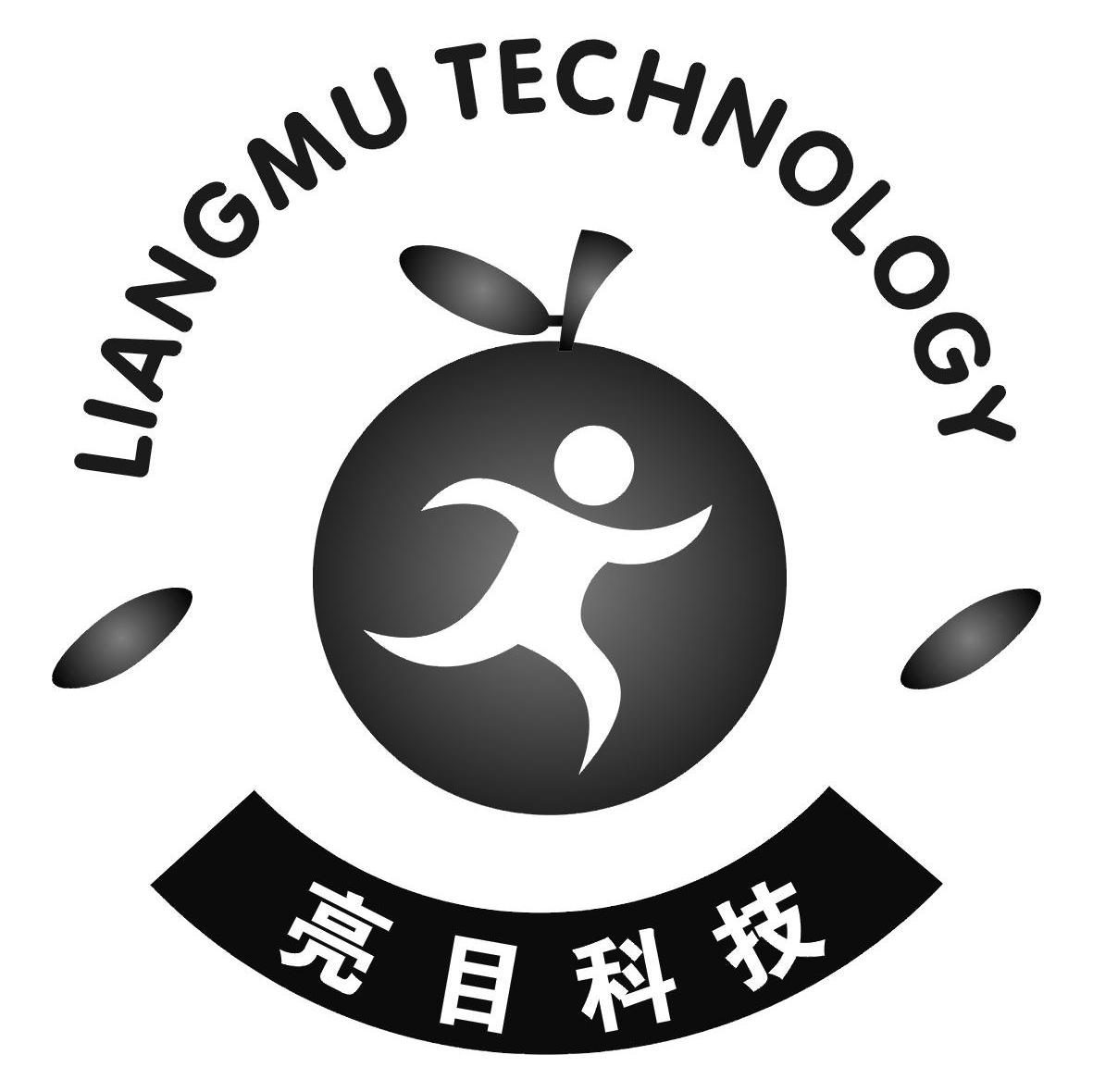 亮目科技;LIANG MU TECHNOLOGY