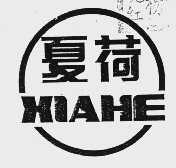 夏荷