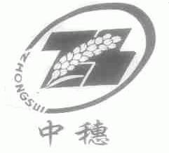 中穗