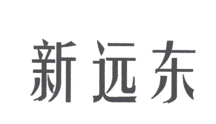 新远东