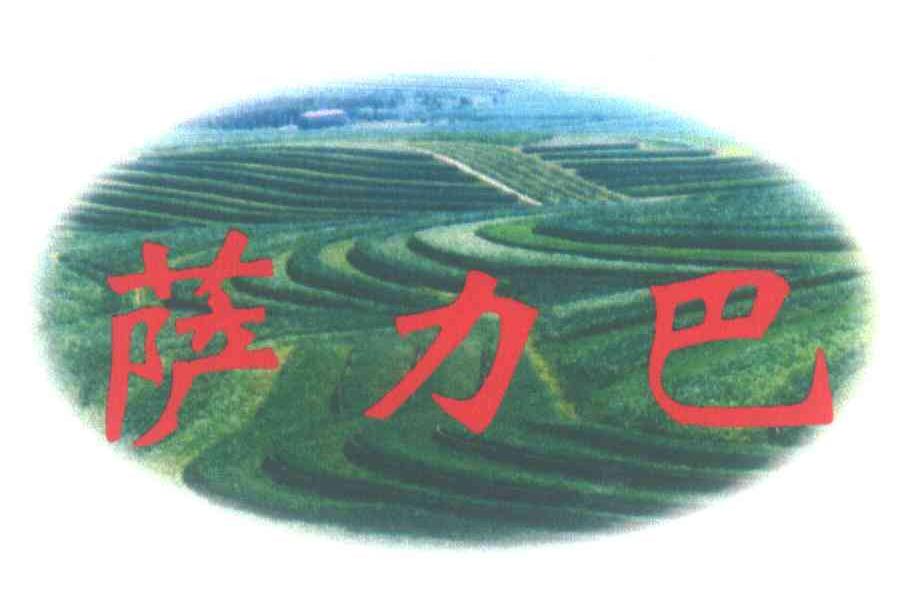 萨力巴