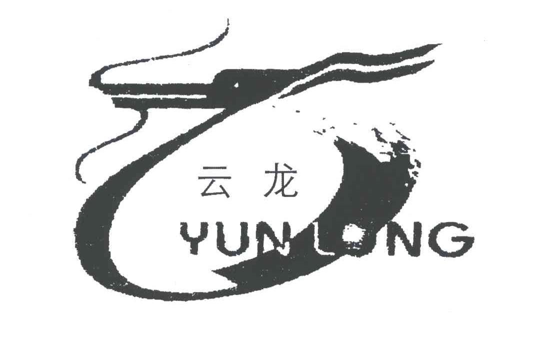 云龙