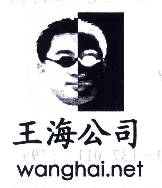 WANGHAI.NET;王海公司