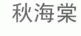 秋海棠
