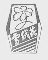 雪绒花