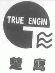 楚鹰;TRUE ENGIN