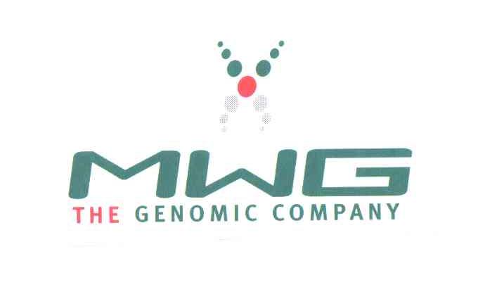 MWG