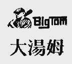 大汤姆;BIG TOM