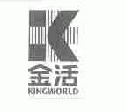 金活;KINGWORLD