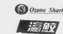 瀛鲛  OZONE SHARK