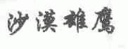 沙漠雄鹰