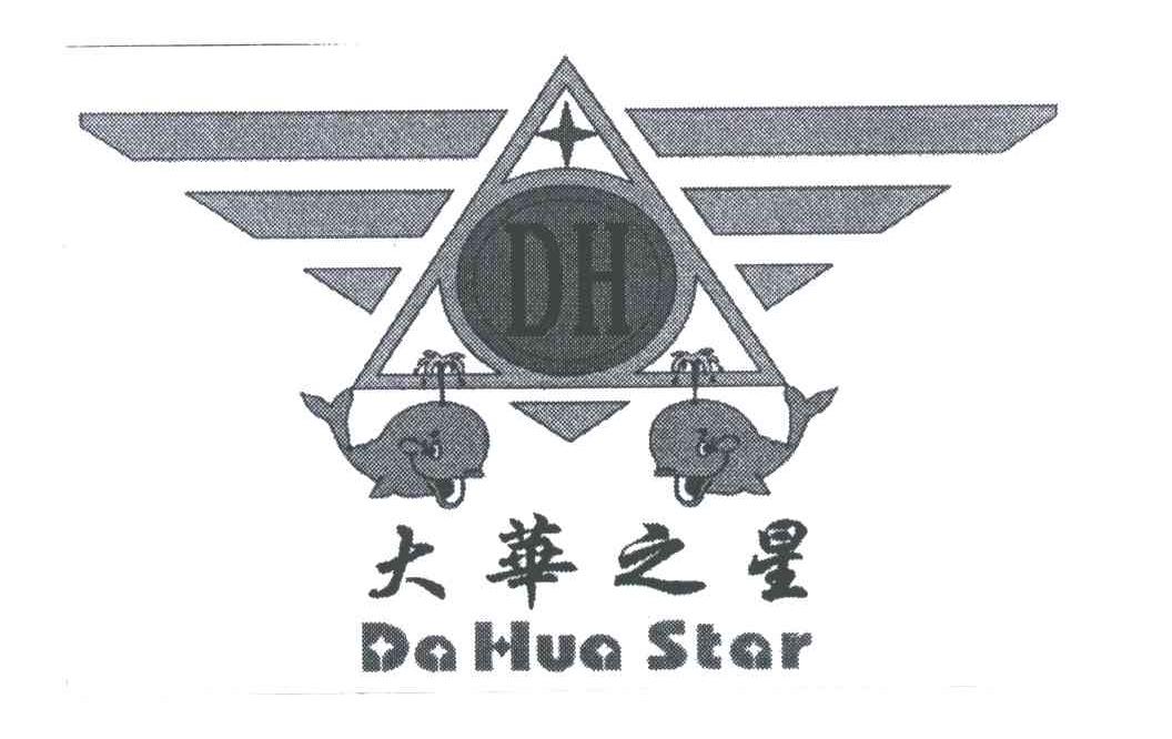 大华之星;DA HUA STAR