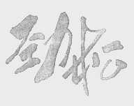 劲松