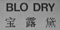 BLO DRY
