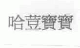 哈豆宝宝