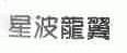 星波龙翼