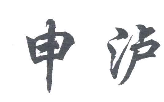 申泸