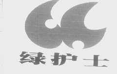绿护士