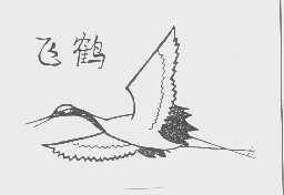 飞鹤