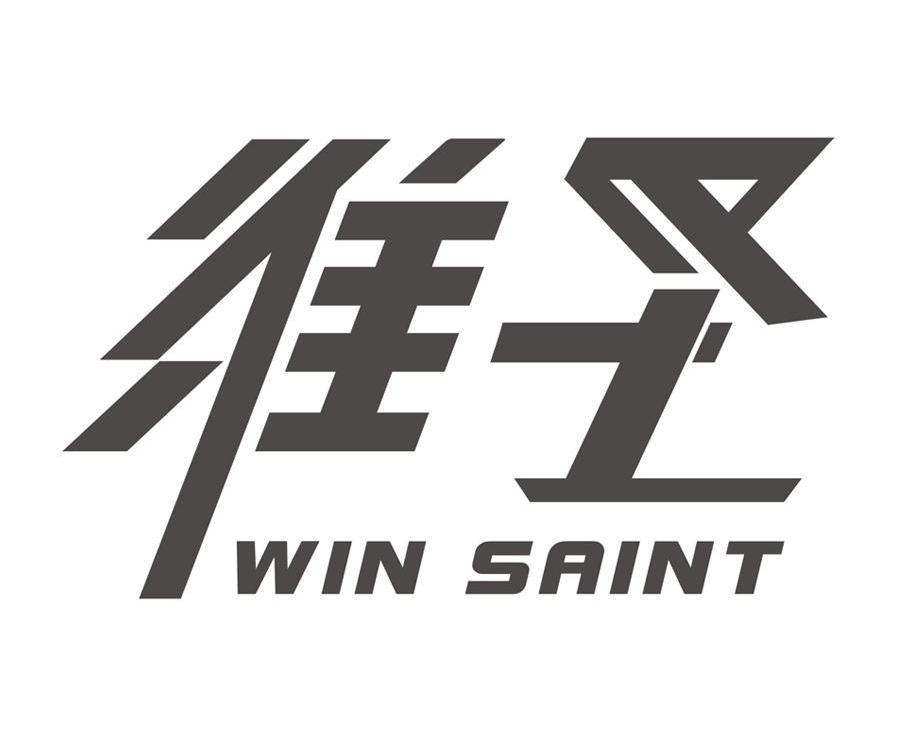 维圣 WIN SAINT