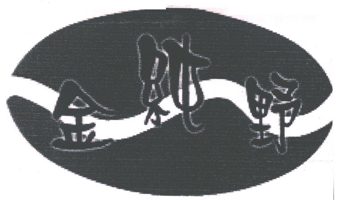 金纯野