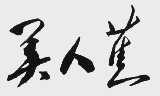 美人蕉