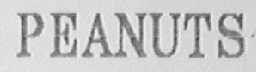 PEANUTS