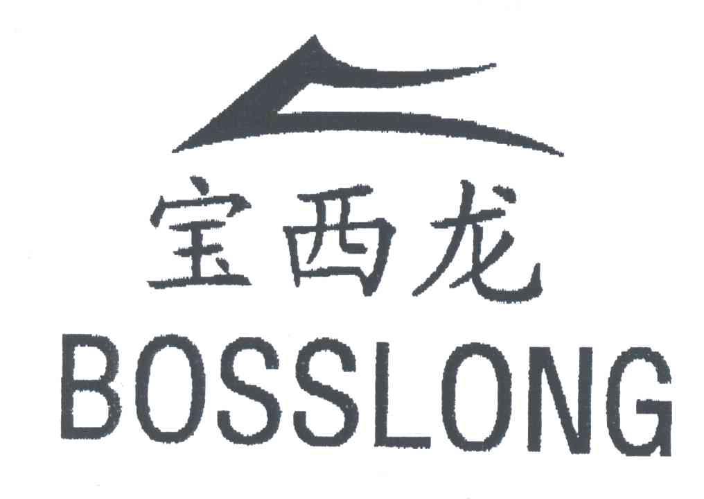 宝西龙;BOSSLONG