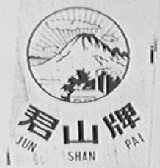 君山