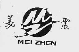 美震