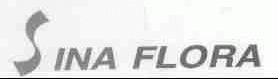 SINA FLORA