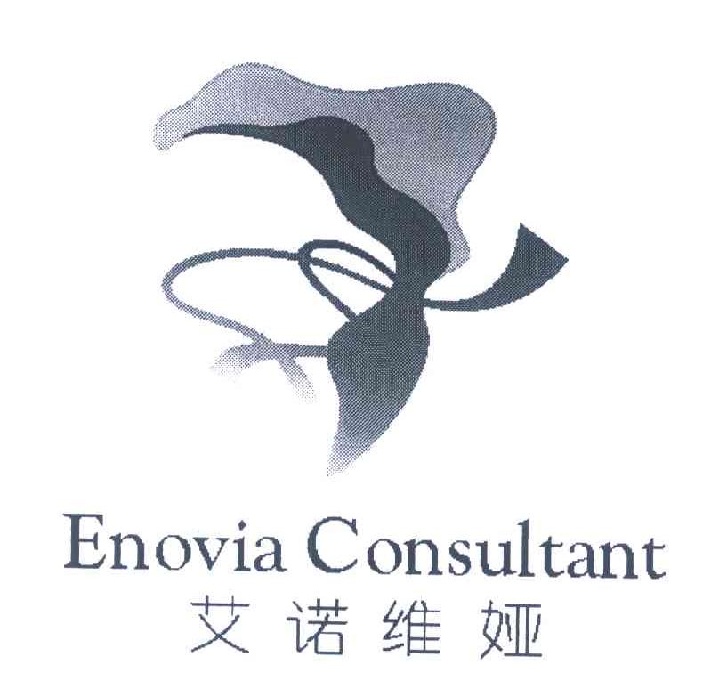 艾诺维娅 ENOVIA CONSULTANT