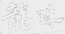 龙珠