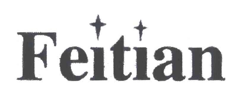 FEITIAN