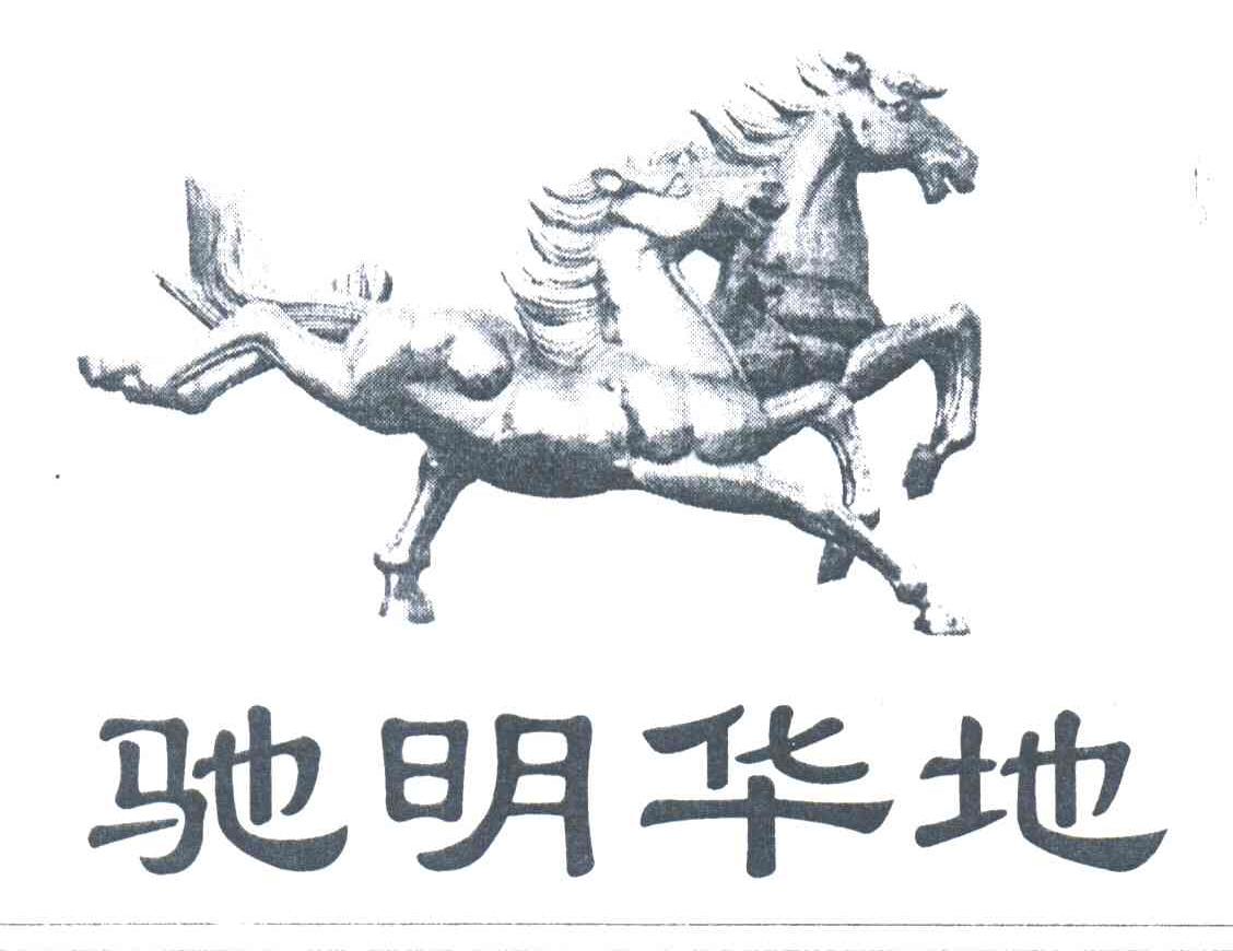 驰明华地