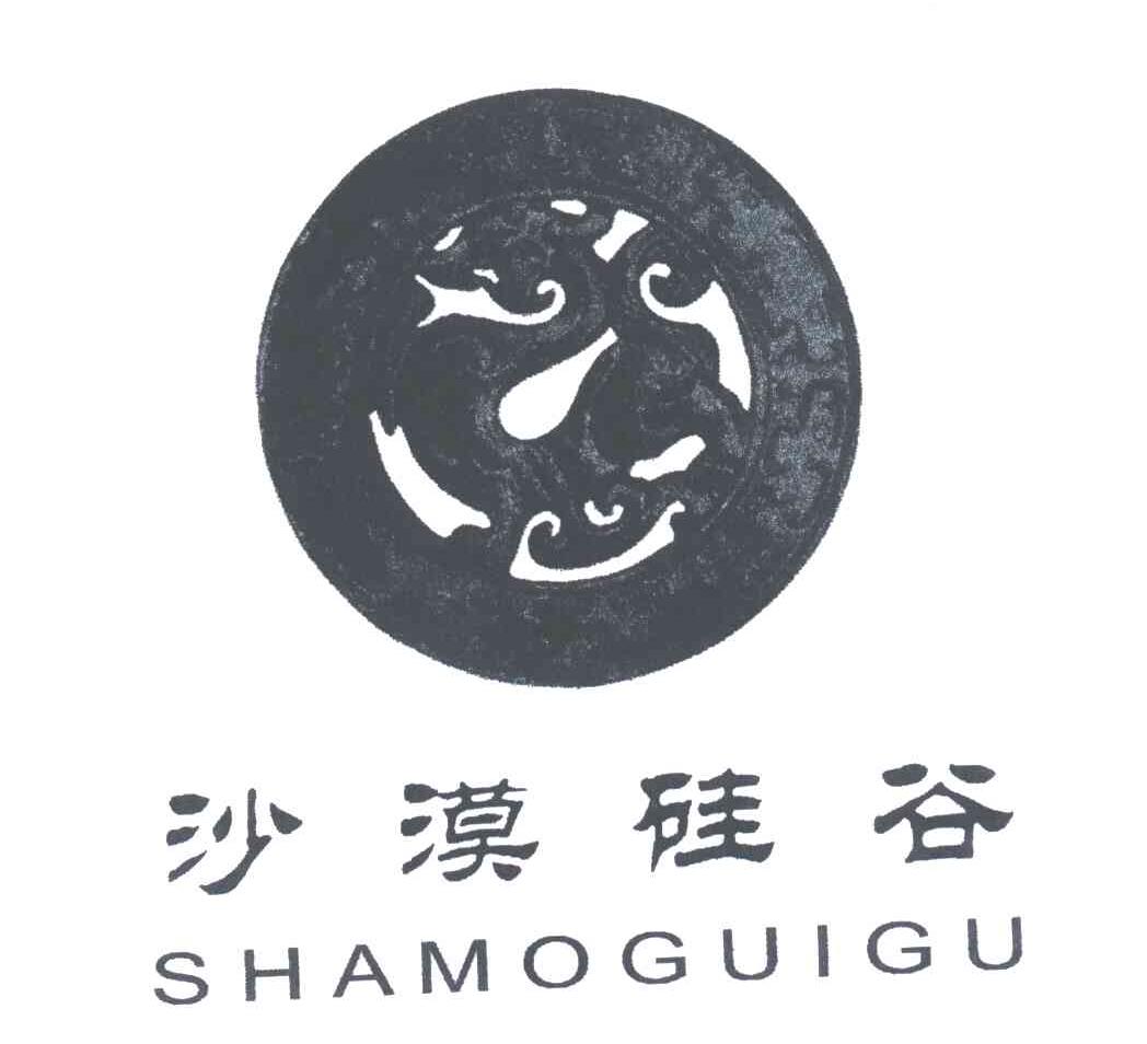 沙漠硅谷