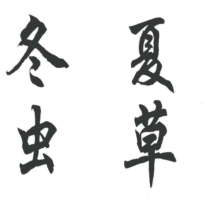 冬虫夏草