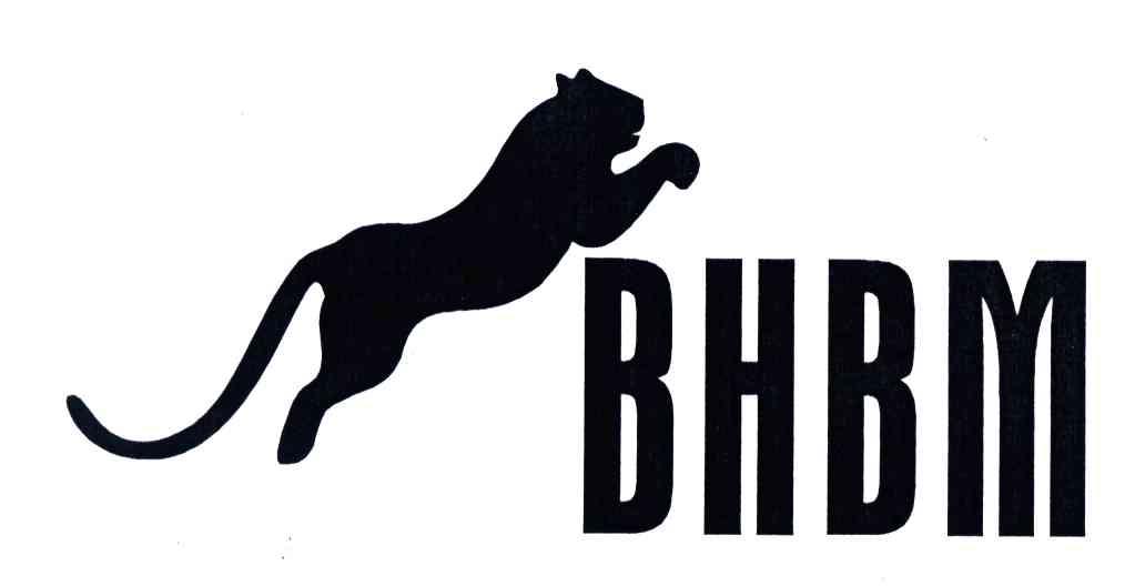BHBM