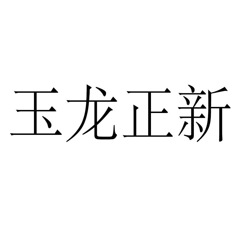 玉龙正新