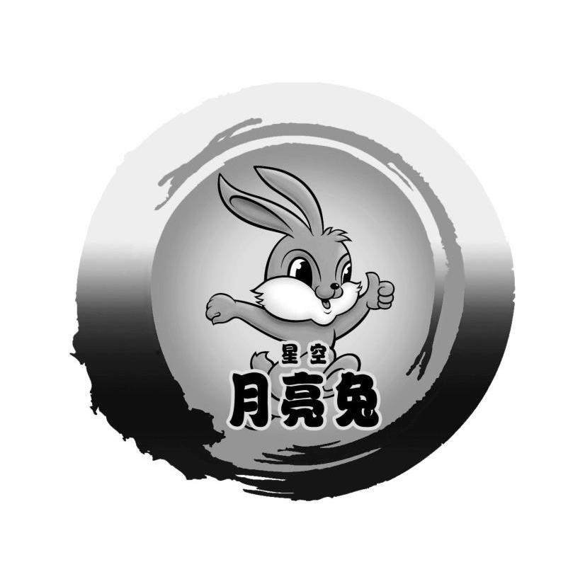 星空月亮兔