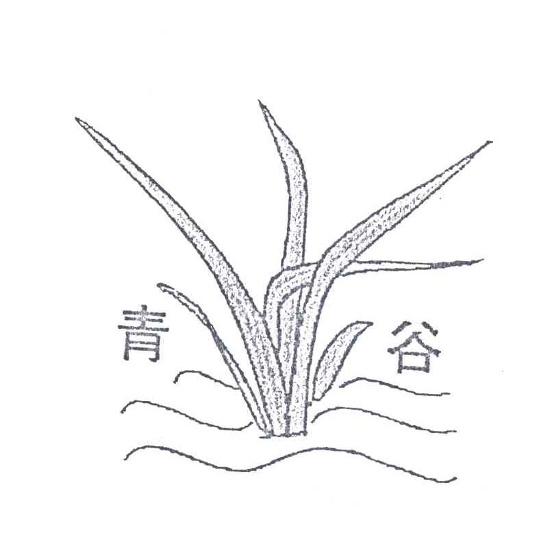 青谷