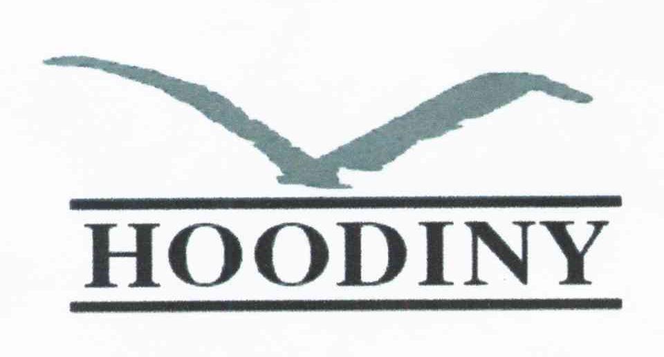 HOODINY