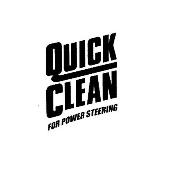 QUICK CLEAN FOR POWER STEERING