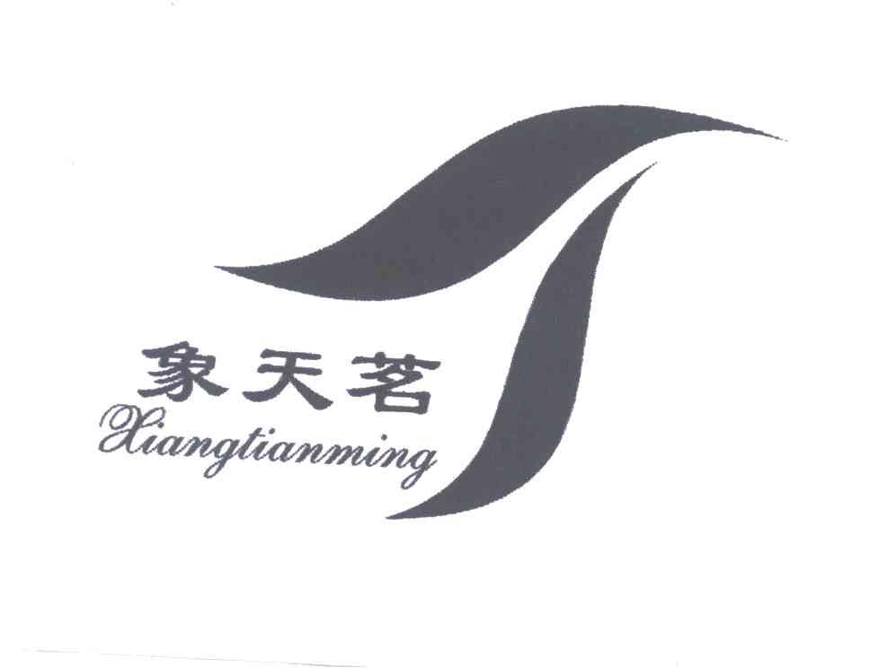 象天茗