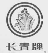 长青