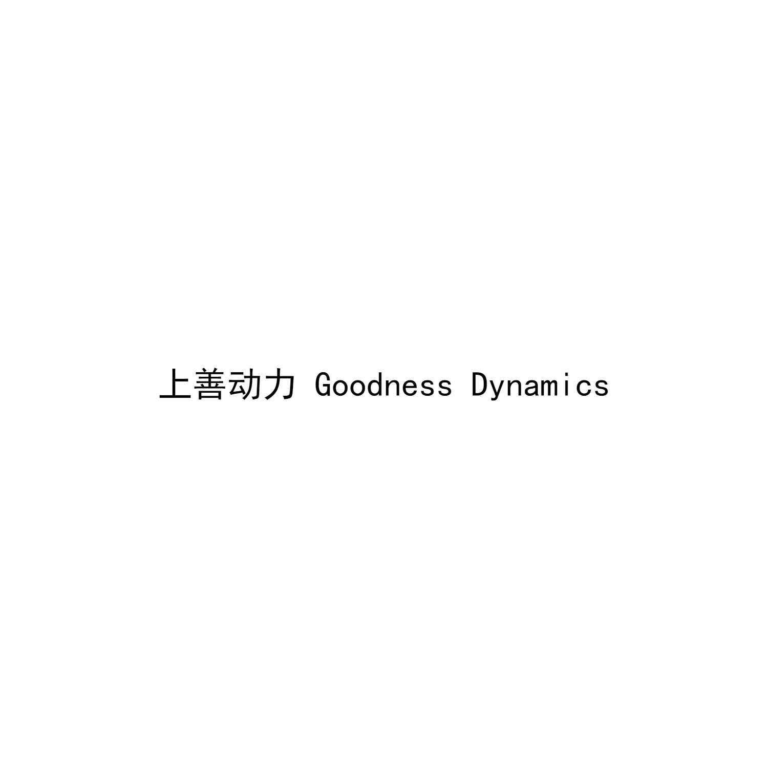 上善动力 GOODNESS DYNAMICS