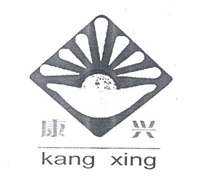 康兴;KANG XING