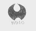 HDIG